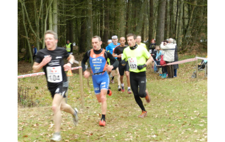Cross de Wingen sur Moder