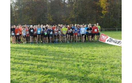 CROSS DE HIRSCHLAND