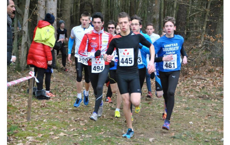 19° CROSS DE WINGEN SUR MODER 28 FÉVRIER 2016
