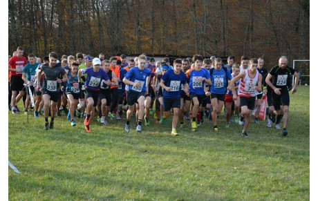 7° CROSS DE HIRSCHLAND 20 NOVEMBRE 2016
